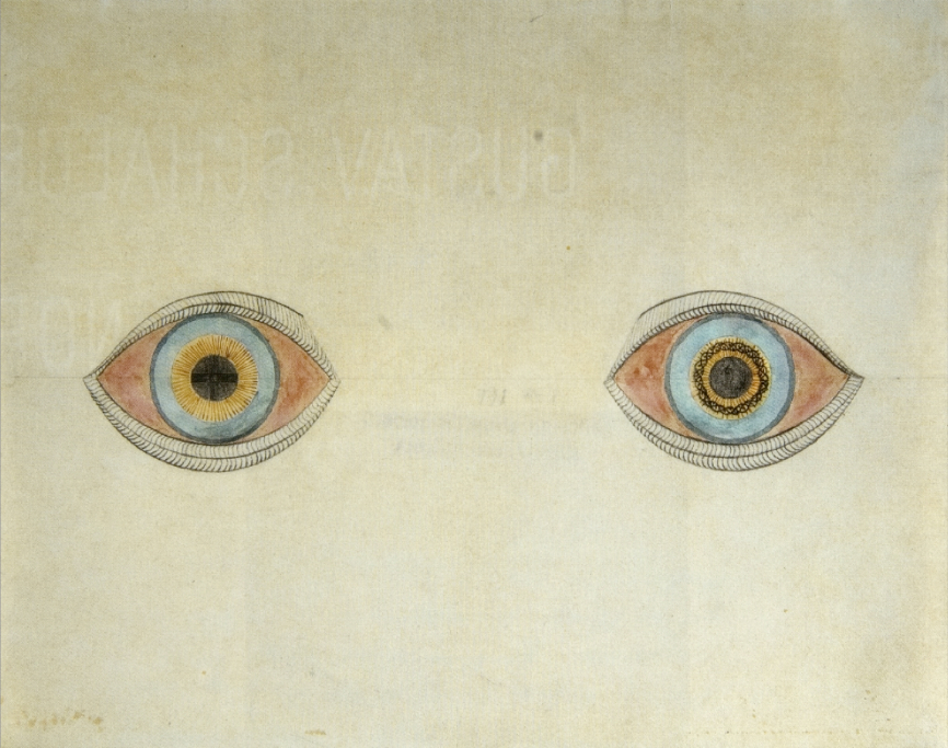 Stop Your AI From Lying: Reduce Hallucinations